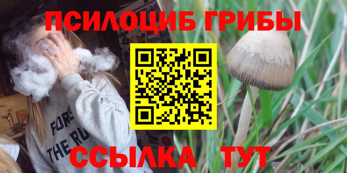 Псилоцибиновые грибы Psilocybe  Вход с VPN  Кунгур 